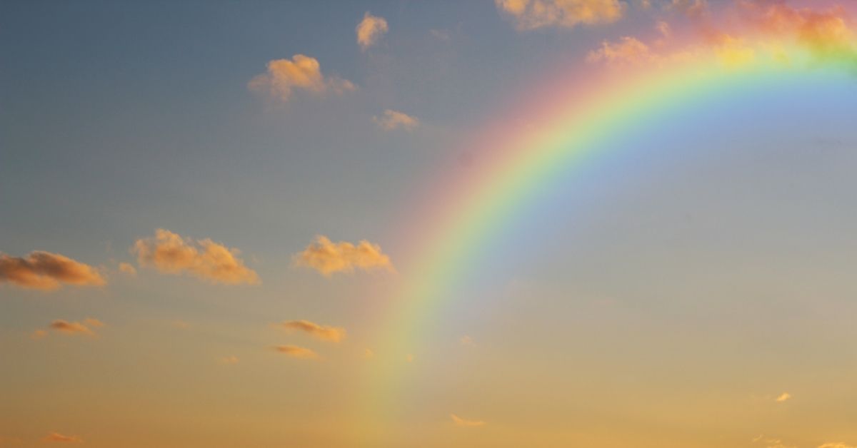 Rainbow Counselling Adare Abbeyfeale Croom Dietitian Charleville Psychotherapy Nutritionist Adare Dietitian Abbeyfeale Hypnosis Croom Charleville Hynotherapy Fermoy Tallow Dietitian Dungarven Hypnotherapy Waterford Nutritionist