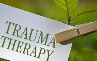 Trauma PTSD CPTSD Adare Abbeyfeale Counselling Psychotherapy Talk Therapy Hypnotherapy Somatic Charleville Kanturk Limerick Youghal Fermoy Lismore Tallow Midleton PTSD CORK