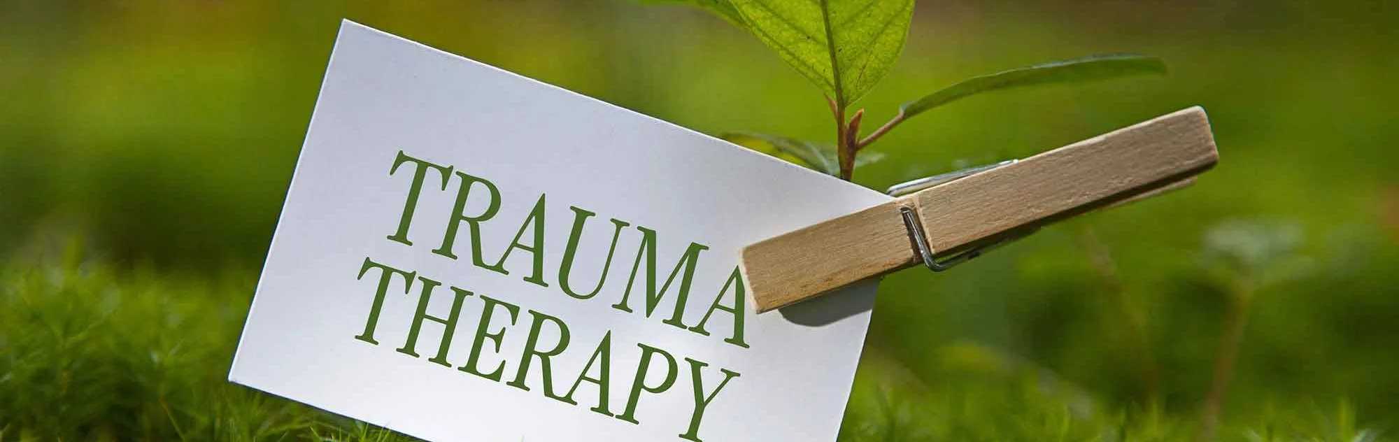 Trauma PTSD CPTSD Adare Abbeyfeale Counselling Psychotherapy Talk Therapy Hypnotherapy Somatic Charleville Kanturk Limerick Youghal Fermoy Lismore Tallow Midleton PTSD CORK