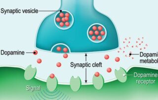 dopamine addictions RTT Hypnotherapy Nutritionist Counselling ONLINE Limerick Newcastlewest Youghal Cork Therapy