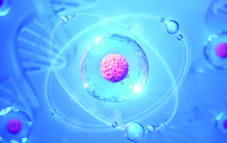 Nutritionist Limerick nutrition Adare Abbeyfeale Youghal Cork